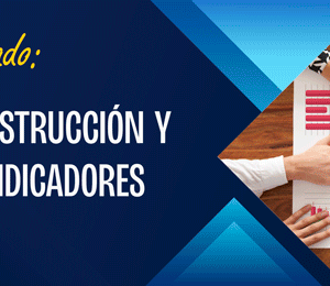 PROCESO DE CONSTRUCCIÓN Y APLICACIÓN DE INDICADORES